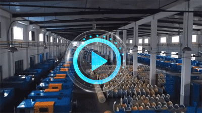 Video of Production Lines
